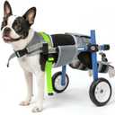 Lightweight and Adjustable Dog Wheelchair for Back Legs, Dog Carts with Wheels for Disabled Dogs, Thick Harness Support Mobility Cart for Pets (Blue, XXS)