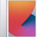 Apple iPad (10.2-inch, Wi-Fi, 32GB) - Silver (Latest Model, 8th Generation) 