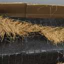 XLX TURF Artificial Thatch Grass for Tiki Bar Hawaiian Party Decorations - Fireproof Fake Hay Carpet for Country Cowboy Birthday Background - Duck Blind Grass Straw Roofing 35" x6.5'