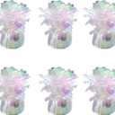 balloon weights are perfect for parties, birthdays, weddings. Each pack includes 6PCS durable weights that easily decorate balloons and elevate any celebration. (Lridescent 6pcs)