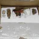 15.25-Inch Long Moss Stable with Set of 9 Resin Figurines Nativity Scene