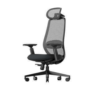 ProtoArc Ergonomic Office Chair – EC200 High-Back Mesh Computer Chair with Lumbar Support, 3D Adjustable Headrest & Sliding Seat for 8+ Hour Comfort, Big & Tall Home Office Desk Chairs - Black