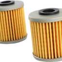 16510-16H11 Oil Filter (2pcs) Replacement for Suzuki Outboard 4HP 6HP 2017-2024
