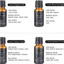 Essential Oils Set - Top 10 Luxury Scents for Diffuser, Humidifier, Aromatherapy, Candle & Soap Making, Premium Scented Oil Gift Set for Home & Office, Inspired by Luxury Brand perfumes(20ML)