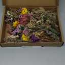 36 Pack Mini Dried Flowers for Vase Wedding Various Mini Bouquet Dried Small Wildflowers Natural Flowers Bulk for Crafts DIY Decor (36, Multicolor)