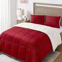 Basic Beyond Queen Comforter Set - Luxury Fleece Sherpa Comforter Sets for Queen Bed, Soft and Warm Queen Size Bedding Comforter Set for Winter, Red, 88"x88"