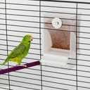 Yaomiao 4 Pcs No Mess Small Bird Feeders Automatic Parakeet Water Dispenser Clear Quail Feeder and Watered Cage Accessories for Small and Medium Parakeet Cockatiel Canary(Assorted,Clear)