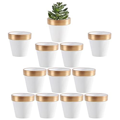 Yishang 2.5 inch White&Gold Terracotta Pots with Drainage Holes,Small Mini Clay Ceramic Pottery Planter,Cactus Flower Terra Cotta Pots,Succulents Nursery Pots for Indoor/Outdoor Plants,Crafts-12 Pack