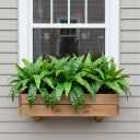3pcs Artificial Bird's Nest Fern, Large Faux Fern Plants Outdoor | UV resistant fake greenery for window boxes, planters, porch, patio and indoor home decor