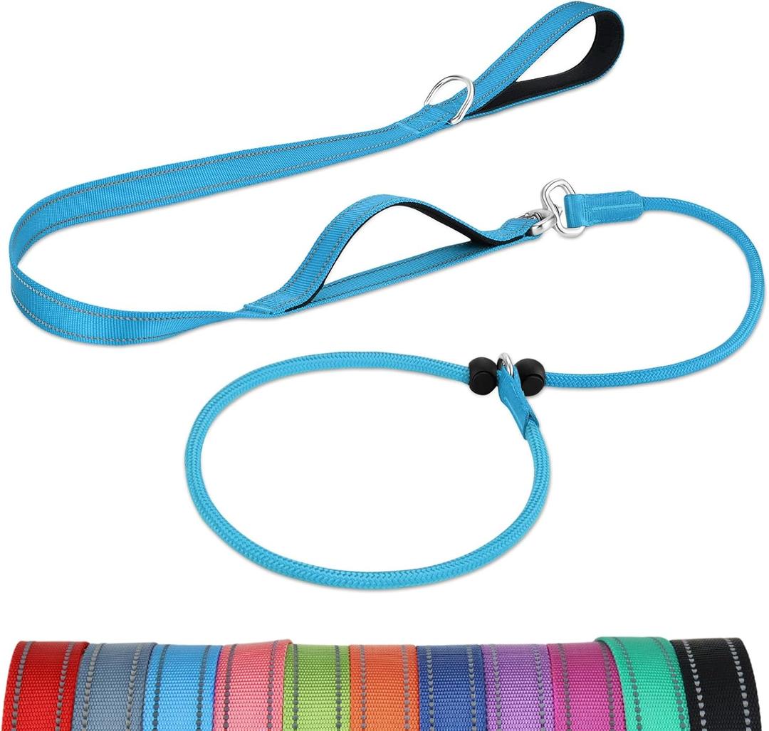 2 x Joytale Tangle-Free Slip Leads for Dogs, 6 FT Slip Leash with Padded Double Handle, Reflective Nylon Training Leash for Small Medium Dogs 15-40 Lbs, Sky Blue