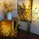 AMARS 2 Pack Decorative LED Lighted Branch Lights Battery Operated Artificial LED Twig Branches Decoration for Home Room Decor Christmas Vase (Warm White, 29.5 Inches, 20leds)