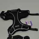 Halypet Cat Harness and Leash Set [MAX Safety 4th-Gen Upgrade] Escape Proof Adjustable Cat Leash Comfortable Soft Vest Easy to Wear Kitten Harness with Reflective Strip for Cats Walking, M Black (Medium (13-18lb))