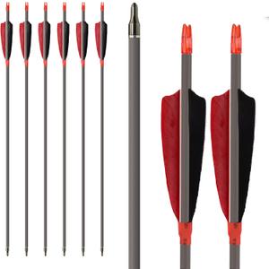 Archery Carbon Arrows, High Percentage Carbon-Fiber Arrow Spine 400 with 4" Real Feathers 100 Grain Points for Hunting/Targeting Compound/Recurve/Long Bow 6Pack (29inch)