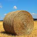 Round Bale Hay Net for Horses, Durable 6 * 6 ft Nylon Knotless Slow Feeder Hay Nets for Horses and Goats, Fits 6 * 6,5 * 5, 4 * 5&4 * 4 Ft Hay Bales