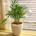 [2 PCS] Iridescent Self Watering Globes, Glass Rainbow Plant Watering Globes, Self Watering Planter Insert, Automatic Plant Waterer Indoor, Plant Watering Devices, Plant Water Globes, Watering Bulb