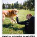 ALPI Chomp Ball - Durable Chew Toys for Dogs & Other Pets - Stimulating Dog Toys for Aggressive Chewers - Soft Dog Chews - 3-Pack, Assorted