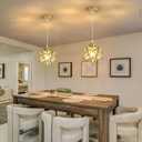 Pendant Lights LED Chandelier Gold Hanging Lighting Fixture with Clear Glass for Kitchen Dining Room Foyer Hallway Warm White