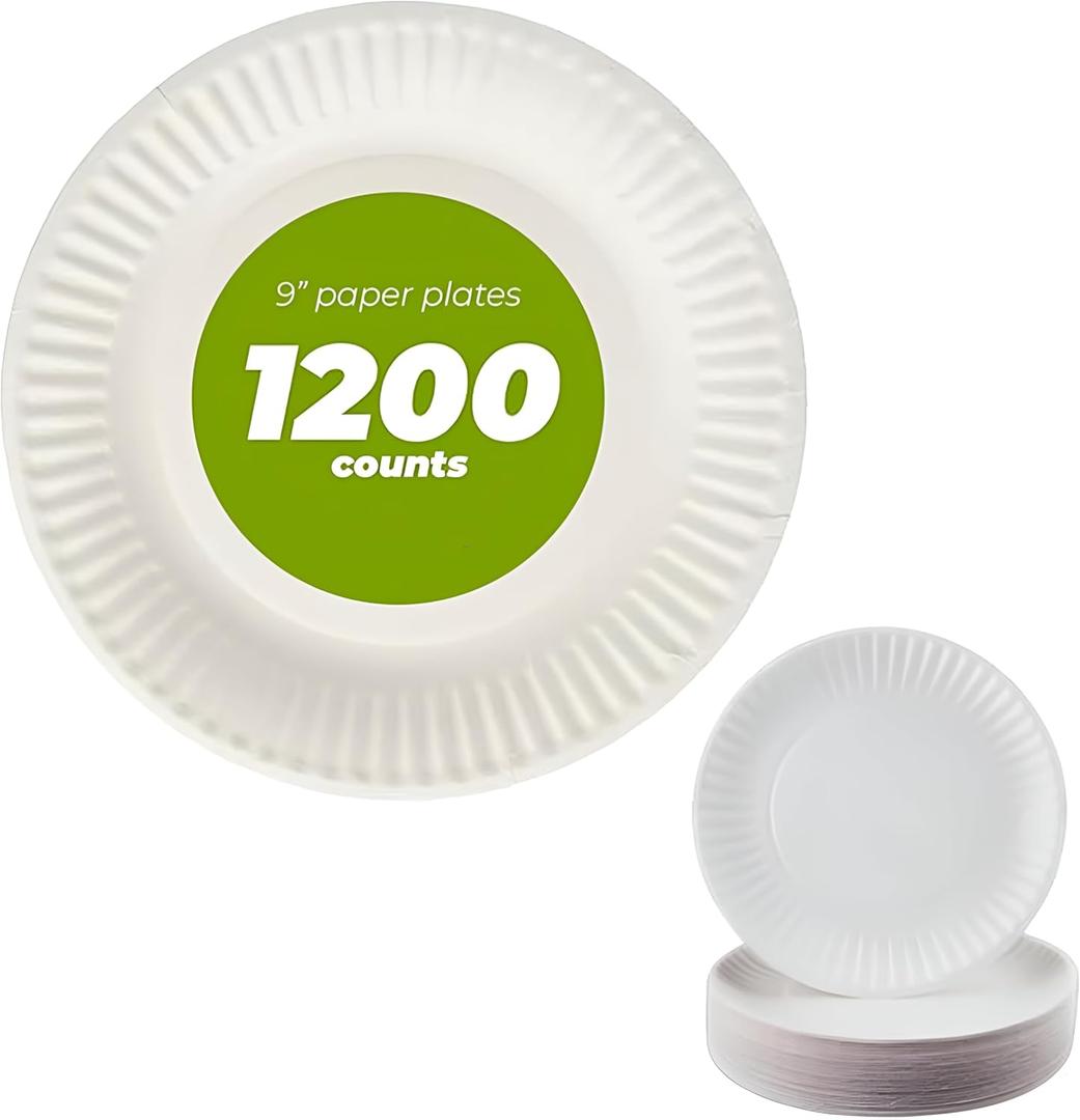 9" Uncoated Everyday Paper Plates-Disposable, Bulk, White - Case of 1,200ct, 1200 Count