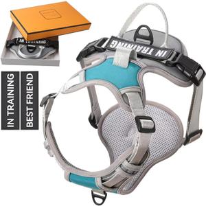 No Pull Dog Harness, Reflective Dog Vest Harness with Front & Back 2 Leash Clips, Oxford Pet Harness Adjustable Soft Padded Dog Vest with Easy Control Handle for Small Medium Large Dogs (Small (Pack of 1), Green&Gray)