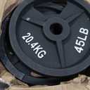 Fitvids 2-Inch Olympic Cast Iron Weight Plate for Strength Training & Weightlifting, Multiple Sizes