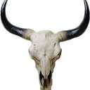 Mayrich Southwestern Cow Steer Skull Wall Hanging