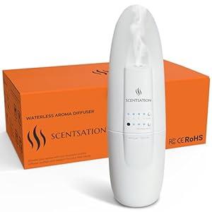 Plug-in Essential Oil Diffuser - Silent & Waterless Aromatherapy - Cold Air Diffusion, Wide Area Coverage up to 500 SqFt - Ideal for Home, Office, Spa (Plug-in Diffuser -White ) (1 Pack)