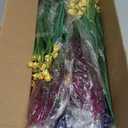 Hananona 24 Pcs Artificial Flowers Outdoor, Faux Artificial Plants UV Resistant Plastic Flower Bulk for Hanging Planter Porch Window Home Wedding Fall Summer Decor (24, Fuchsia, Purple, Yellow, Green)