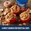 3 x PLANTERS Apple Cider Donut Cashews 13oz