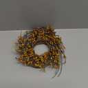 CWI Gifts Pip Twig Star Wreath Rings - 10 inch - Wreath Decor for Front Door and Candle Decorating - Old Gold (Multicolor)