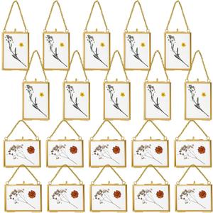 Kigley Double Glass Frame for Pressed Flowers Floating Hanging Photo Frame Gift for Graduation Mother's Day 3.5 x 2.5 in Brass Clear Decor with Chain for Display Gallery Artwork(Gold,20 Pcs)