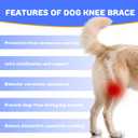 RUXAN Dog Knee Brace for Torn Acl, Dog Leg Braces for Back Leg, Knee Brace for Arthritis Pain and Support, Dogs Rear Leg Wrap Harness Set for Leg Wound Care and Lick Prevention-L
