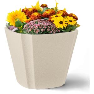 ARBORA 16" Monaco Square Polyresin Indoor and Outdoor Planter with Classic Cream Finish - Durable, Weatherproof, Lightweight, Large Plant Pot for Patio, Garden, Deck, Entryway