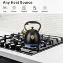 Tea Kettle -2.9 Quart Tea Kettles Stovetop Whistling Teapot Stainless Steel Tea Pots for Stove Top Whistle Tea Pot Black