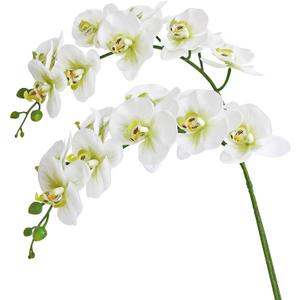Htmeing 38 Inch Artificial Phalaenopsis Flowers Branches Real Touch (Not Silk) Orchids Flowers for Home Office Wedding Decoration,Pack of 2 (Green White)