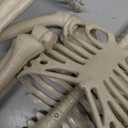 36.6 Inches Poseable Full Body Hanging Skeleton Decoration, Life-Size Halloween Skeleton Prop with Movable Joints, Indoor Outdoor Halloween Decorations for Parties, Haunted House, and Yard Dcor