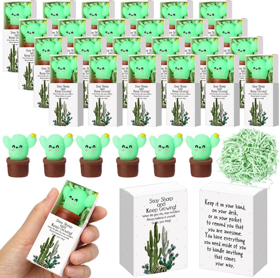 Wettarn 24 Sets Cactus Positive Gifts Cute Stress Balls with Believe in Yourself Gift Boxes Bulk Party Favors for Students Coworkers Employees School Office Relief Inspirational Desk Accessories