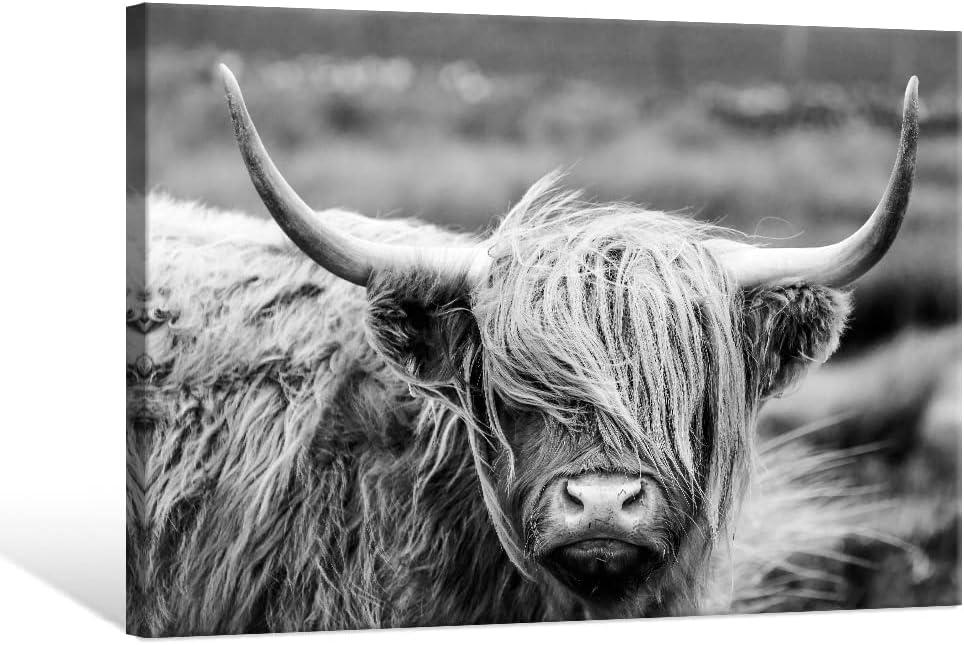 SEVEN WALL ARTS Highland Cow Photography Wildlife Portrait Picture Black and White Closeup Animal Print Scottish Highland Cattle Framed Farmhouse Artwork for Living Room Bedroom Office Decor 36"x24" (36L" x 24W", Highland Cow)