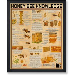 Poster Master Honey Bee Knowledge Poster - Infographic Print - Honey Art - Animal Art - Bee Keeping Art - Educational Art - Typography Art - Great Office or Living Room Decor - 8x10 UNFRAMED Wall Art (Style-16) Poster Master Honey Bee Knowledge Poster - Infographic Print - Honey Art - Animal Art - Bee Keeping Art - Educational Art - Typography Art - Great Office or Living Room Decor - 8x10 UNFRAMED Wall Art (Style-16)