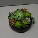 8inch Artificial Succulent Plants in Pots,Large Fake Succulents with Black Ceramic Pot for Home Office Desk Bathroom Coffee Table Decor