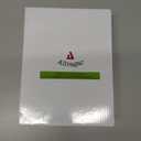 Stained Glass Window Panels Sun Catcher Honey Love Birds, 8" x 5"