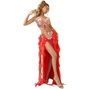 ROYAL SMEELA Belly Dancer Costumes for Women Belly Dancing Skirt Belly Dance Bra and Belt Carnival Bellydance Costume. Size L