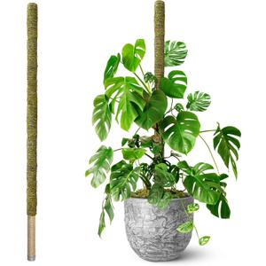 DUSPRO 80" Large Stackable Moss Pole for Plants Monstera, (1pc., 80'')
