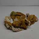 2 Pcs Set Inflatable Floating Row Toys, Adult Children Pool Party Water Sports Games Log Rafts to Float Toys (Yellow)