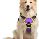rabbitgoo Dog Harness No Pull with 2 Leash Clips, Adjustable Soft Padded, Reflective Oxford No Choke Pet Vest with Easy Control Handle for Medium Sized Dogs, Purple & Yellow, M