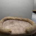 Orthopedic Dog Bed for Extra Large Dogs, Egg Crate Memory Foam Fluffy Fur Sofa with Comfortable Sides, Soft and Big Dog Couch Bed with Washable Removable Cover and Non-Slip Oval Bottom, Camel (XXL(52", UP to 150lbs))