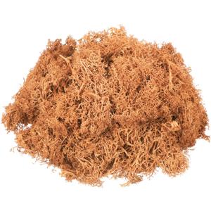 MECCANIXITY 3oz Preserved Reindeer Moss, Orange Decorative Artificial Fake Moss for Potted Plants Indoor Crafts Lichen Centerpieces Decor