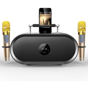 RHM K666 Karaoke Machine with Powerful & Clear Sound, 2 Wireless Microphones, Rechargeable Battery, 8 Hours Playtime, Support Bluetooth/ AUX/ USB/ PC for Home, Party, Wedding, Picnic, Outdoors Activities