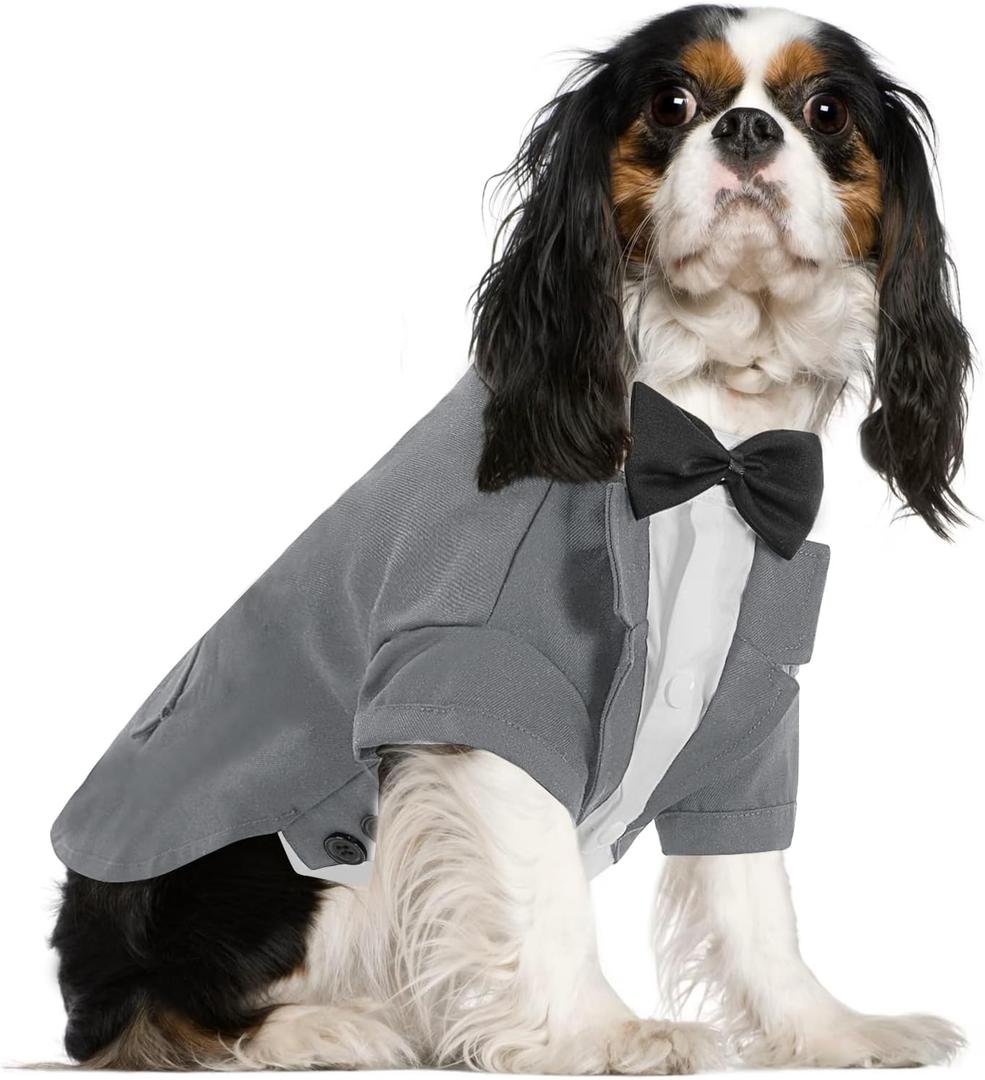 Queenmore Dog Tuxedo, Formal Outfit for Male Dogs, Wedding & Halloween - Pet Tuxedo with Tie, Grey, Medium (Puppy/Cats)