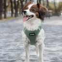 Best Pet Supplies Voyager Step-in Air Harness - All Weather Mesh, Reflective, No Pull Harness for Dogs, Cats - Secure with Hook & Loop Fastener, Buckle, Double D-Rings - Moss Green, M