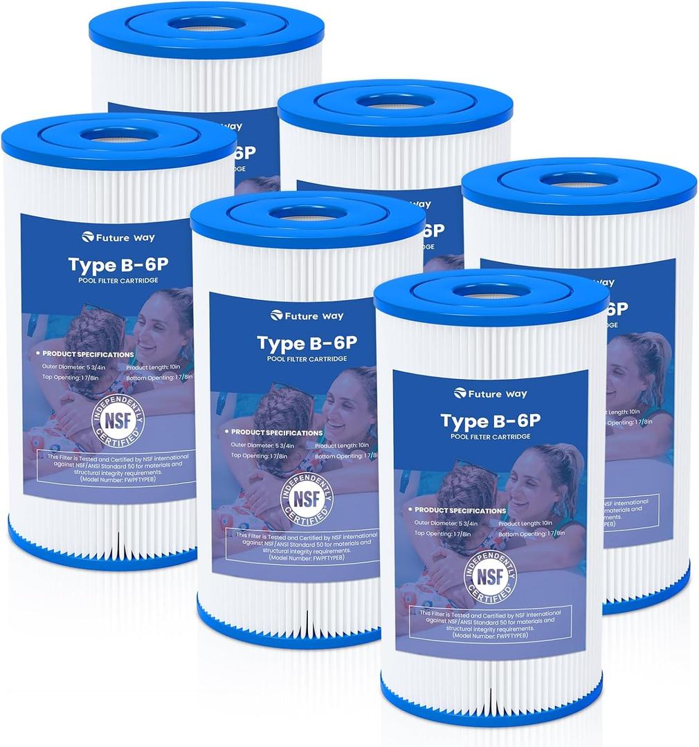 Future Way 6 Pack Type B Pool Filter Cartridge Replacement for Intex 29005E & 2500 GPH Pump, Fits Easy Set Above Ground Pools